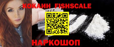 крисы Моздок