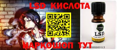 крисы Моздок