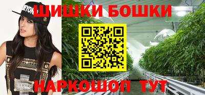 крисы Моздок