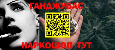крисы Моздок