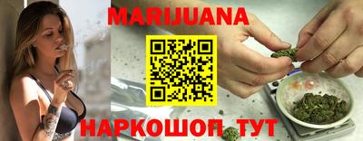 крисы Моздок