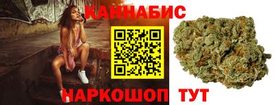 крисы Моздок