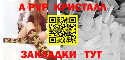 крисы Моздок